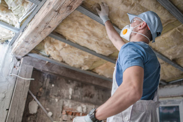 Best Cellulose Insulation in Battlement Mesa, CO