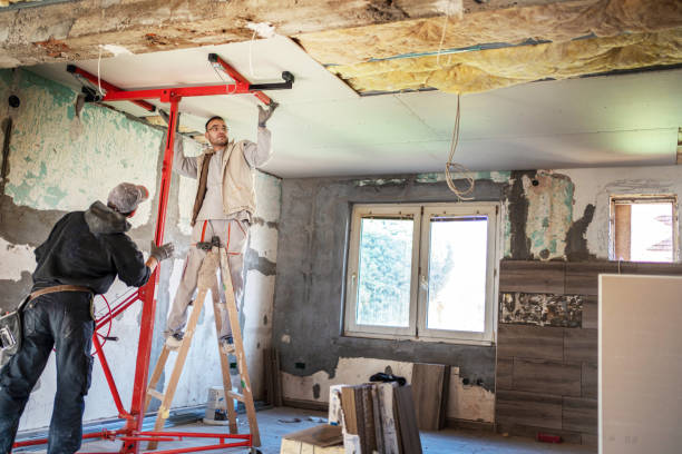 Best Blown-in Insulation in Battlement Mesa, CO